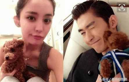 張翰古力娜扎宣布年底結(jié)婚  期待兩人的婚紗照大片